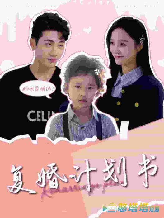 复婚计划书全集在线观看