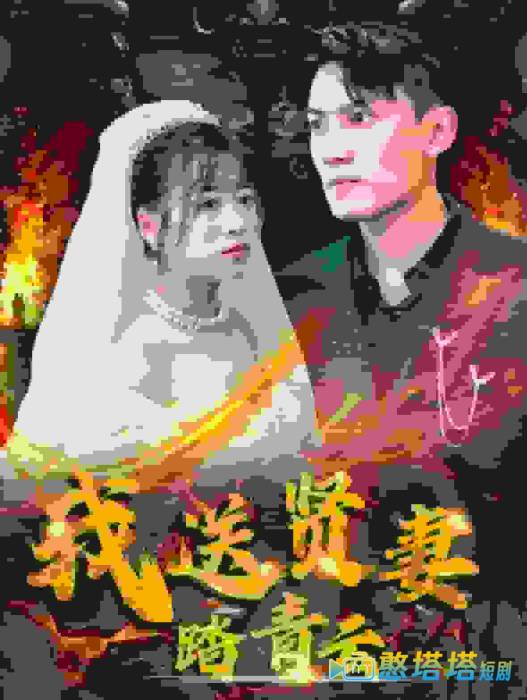 我送贤妻踏青云全集在线观看