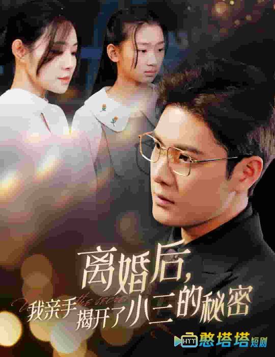 离婚后我亲手揭开了小三的秘密全集在线观看