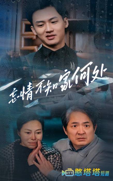 忘情不知家何处全集在线观看