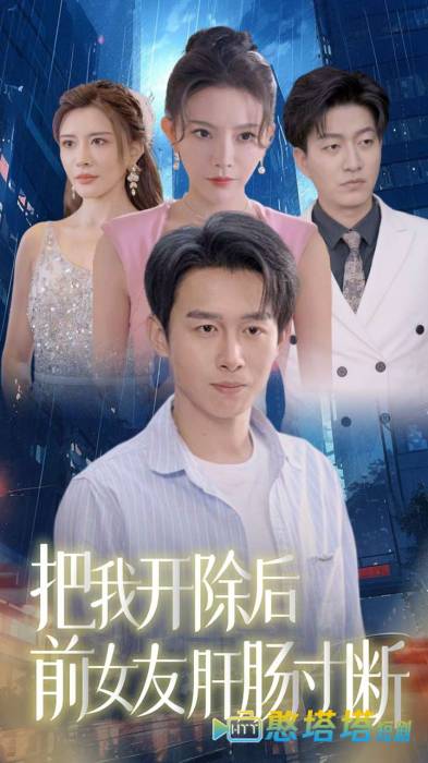 把我开除后前女友肝肠寸断全集在线观看