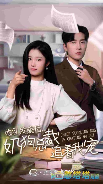 婚礼发癫后奶狗总裁追着我宠