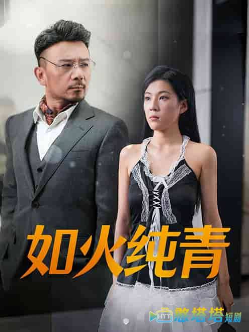 如火纯青全集在线观看
