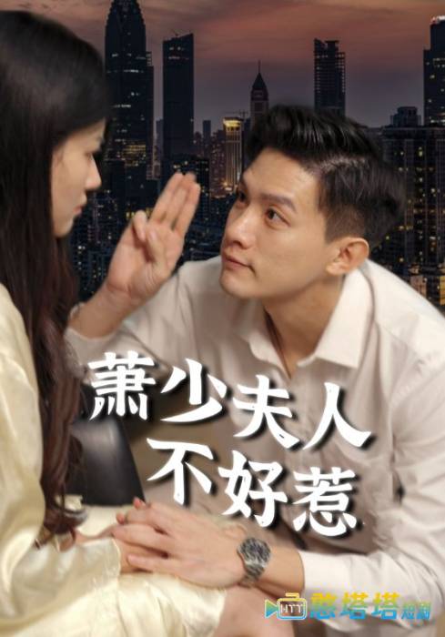萧少夫人不好惹全集在线观看