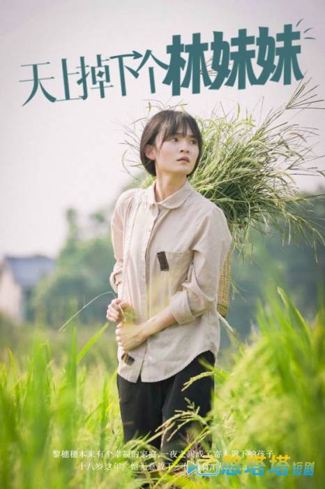 天上掉下个林妹妹全集在线观看