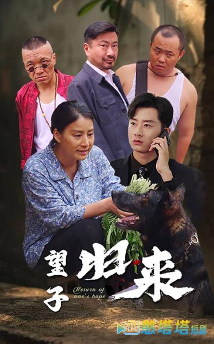 望子归来全集在线观看