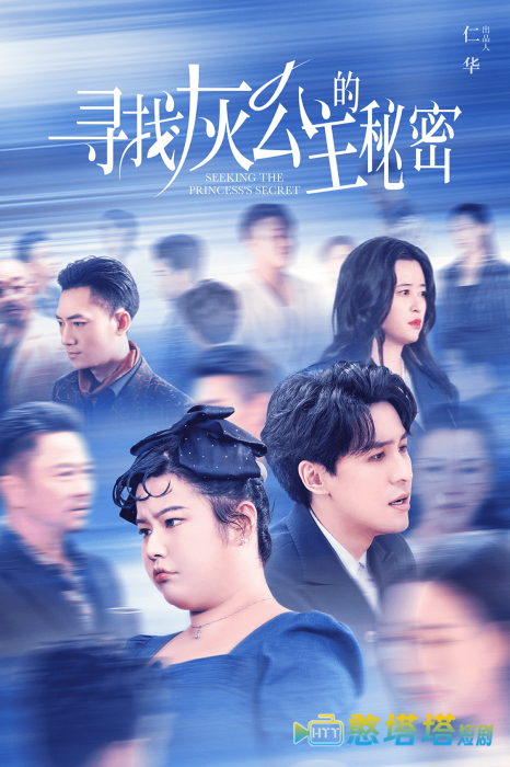 寻找灰公主的秘密全集在线观看