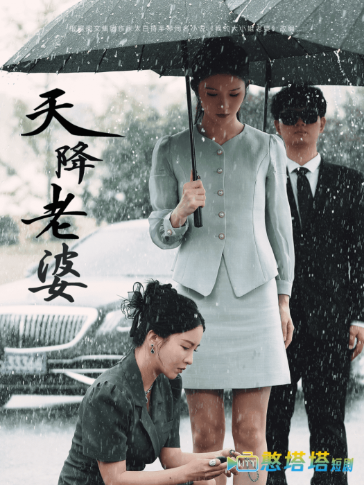 天降老婆全集在线观看