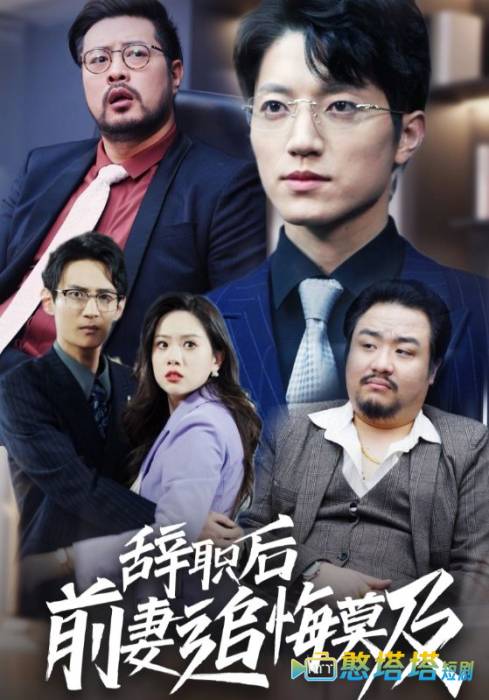 辞职后前妻追悔莫及全集在线观看