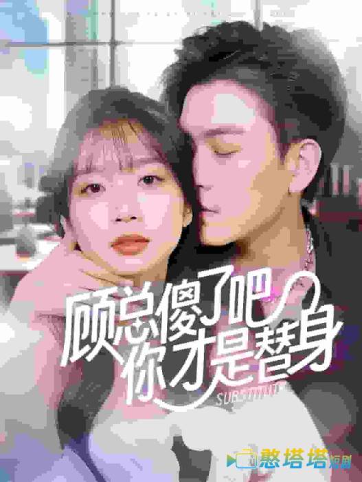 顾总傻了吧你才是替身全集在线观看