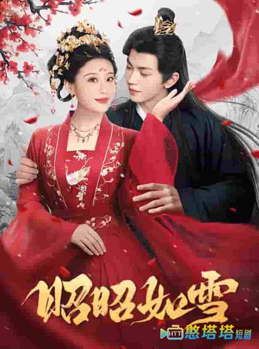 昭昭如雪全集在线观看