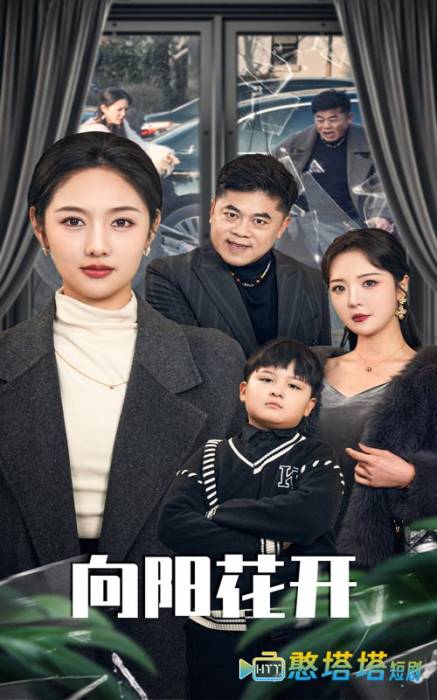  向阳花开 （短剧版） 全集在线观看