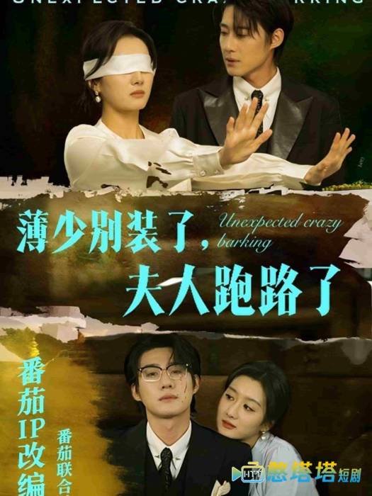 薄少别装了夫人跑路了全集在线观看