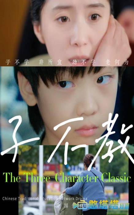 子不教全集在线观看