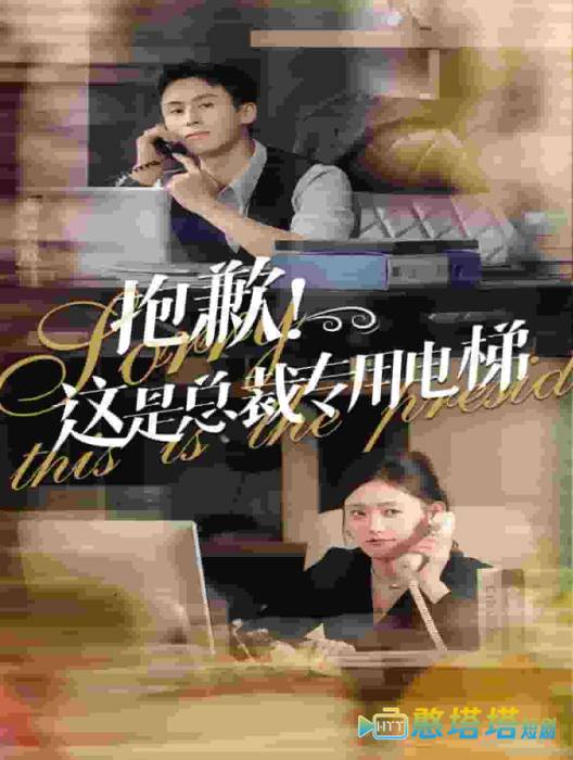 抱歉这是总裁专用电梯全集在线观看