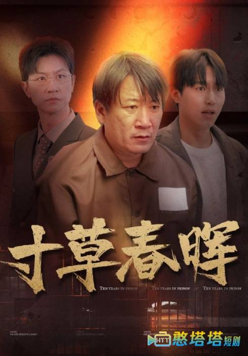 寸草春晖全集在线观看