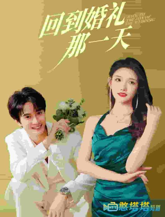 回到婚礼那一天全集在线观看