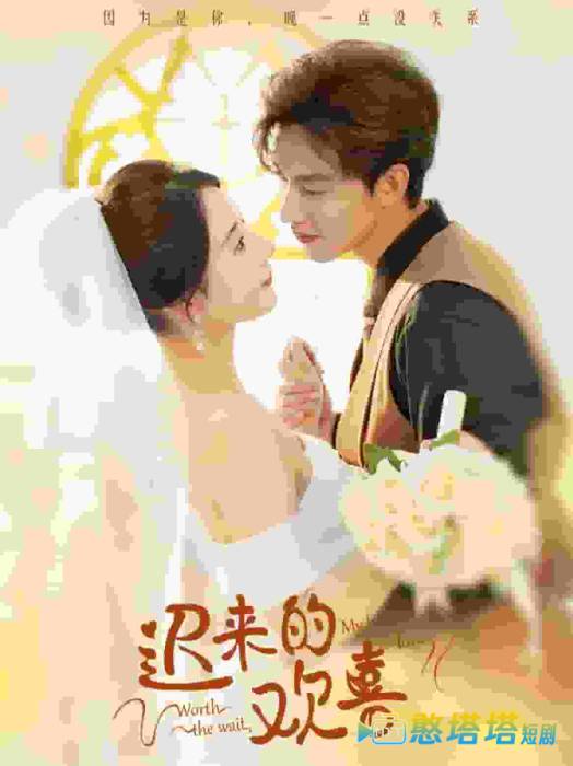 迟来的欢喜全集在线观看