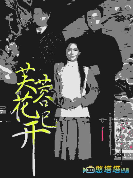 芙蓉花已开全集在线观看