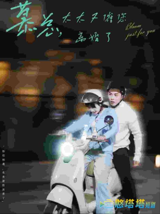 慕总太太又催您离婚了全集在线观看