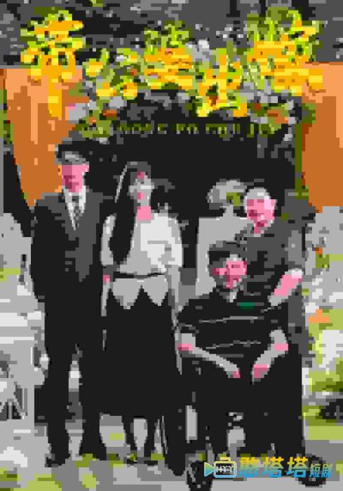 带公婆出嫁全集在线观看