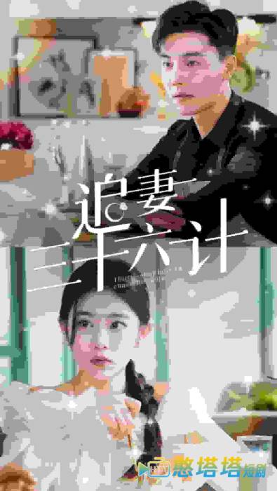 追妻三十六计全集在线观看