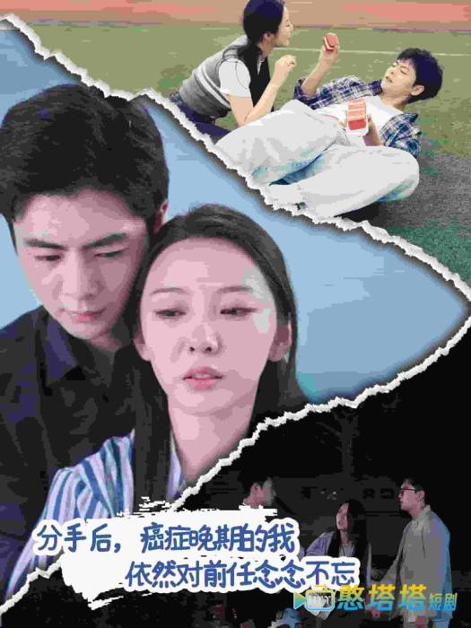 分手后癌症晚期的我依然对前任念念不忘全集在线观看