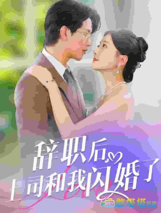 辞职后上司和我闪婚了全集在线观看