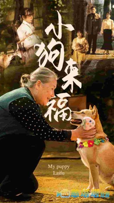 小狗来福全集在线观看