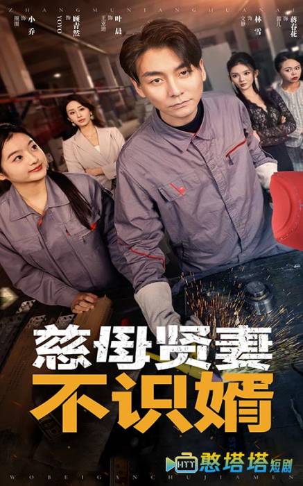 慈母贤妻不识婿全集在线观看