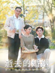 逝去的婚姻全集在线观看