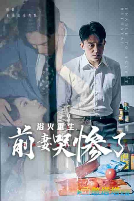浴火重生,前妻哭惨了全集在线观看
