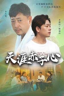 天涯赤子心 短剧版 全集在线观看