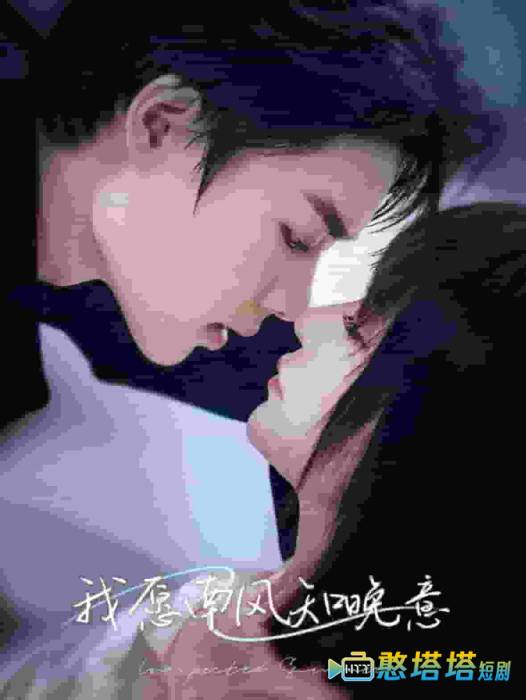 我愿南风知晚意全集在线观看