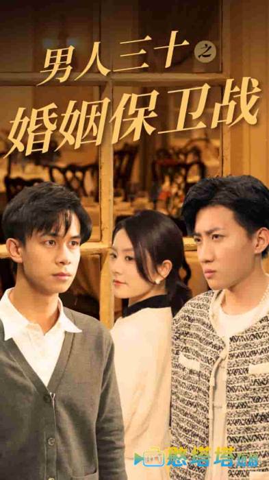 男人三十之婚姻保卫战全集在线观看
