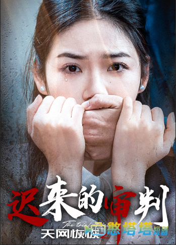 天网恢恢之迟来的审判全集在线观看