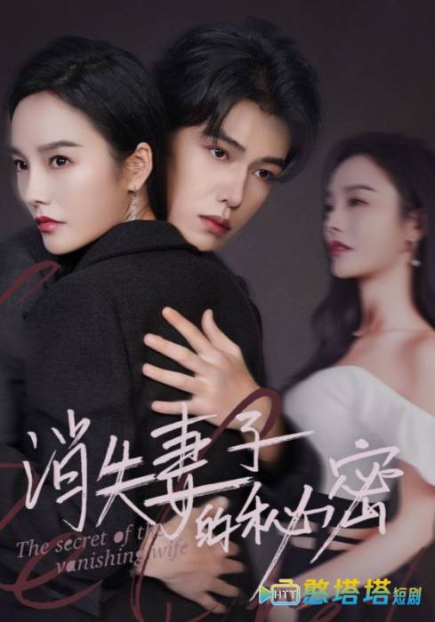 消失妻子的秘密全集在线观看