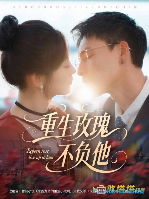 重生玫瑰不负他全集在线观看