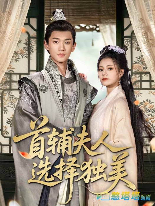 首辅夫人选择独美全集在线观看