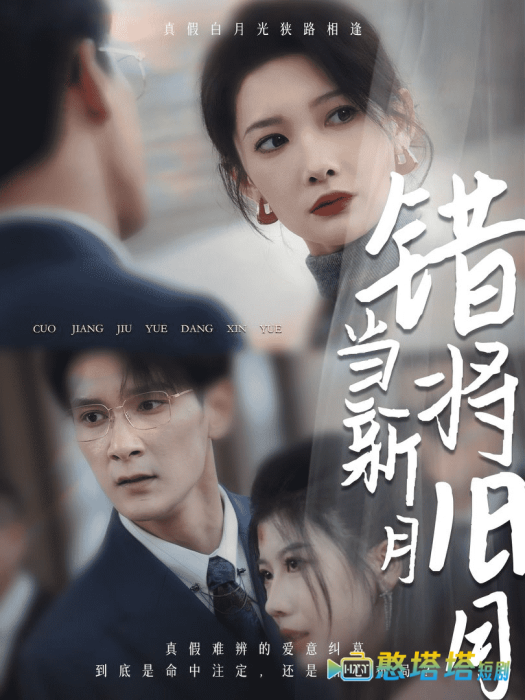 错将旧月当新月全集在线观看
