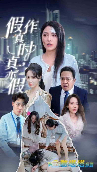 假作真时真亦假全集在线观看