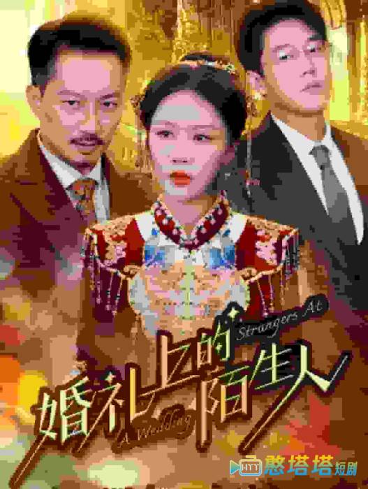 婚礼上的陌生人全集在线观看