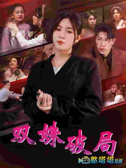 双姝破局全集在线观看