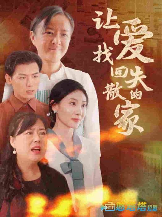 让爱找回失散的家全集在线观看