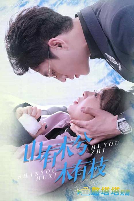 山有木兮木有枝全集在线观看