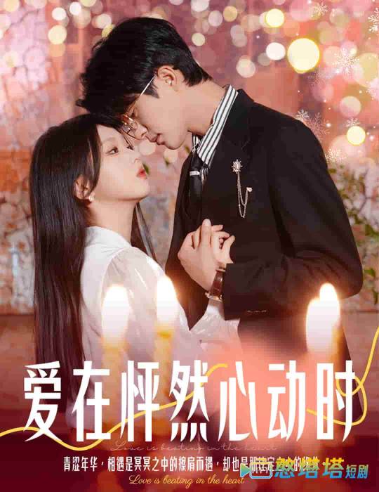 结婚你不答应离职你追什么全集在线观看