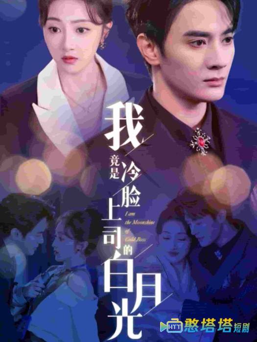 我竟是冷脸上司的白月光