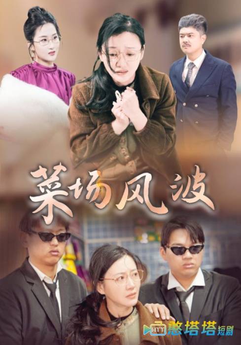 菜场风波全集在线观看