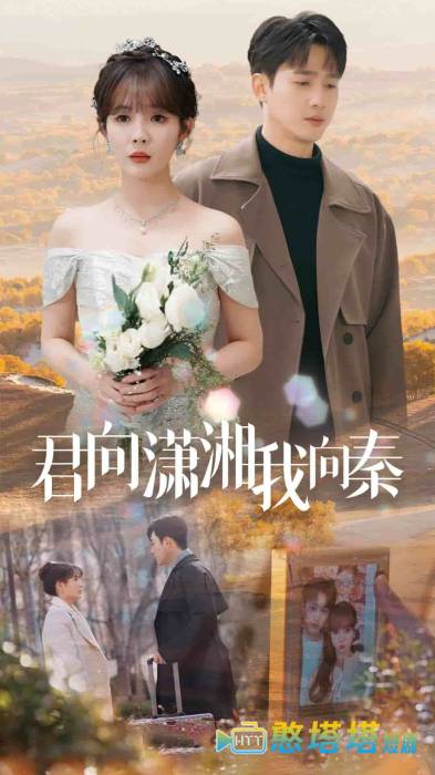 君向潇湘我向秦全集在线观看