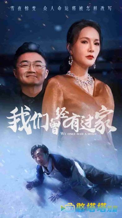 我们曾经有过家全集在线观看